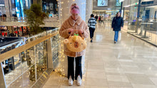 Load image into Gallery viewer, Capybara Plush Travel Tote