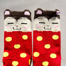 Load image into Gallery viewer, Snoozer Socks

